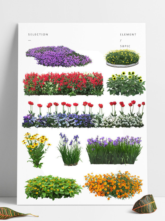 融合与共生 园林花卉之美与机械设备的硬朗线条