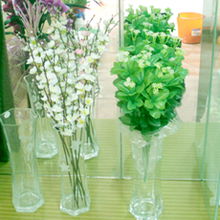 花与家的双重馈赠 盱眙梅源花坊的产品美学与生活意趣