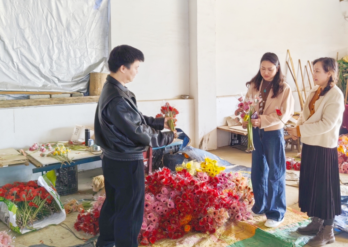 访企拓岗 园林园艺学院赴湖北需之生物科技开发有限公司开展企业调研与设备优化探讨