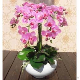 假花批发供应与价格指南 源头采购与机械设备应用